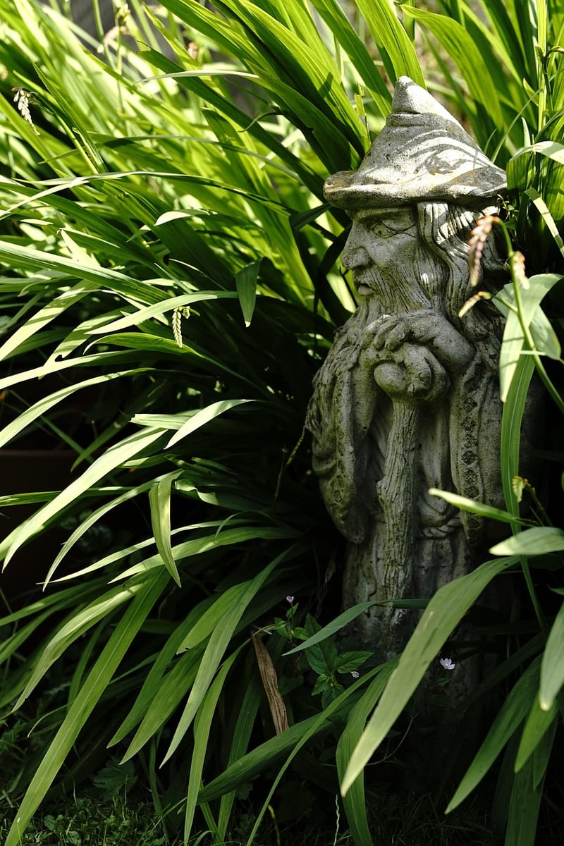 Wizard's Garden