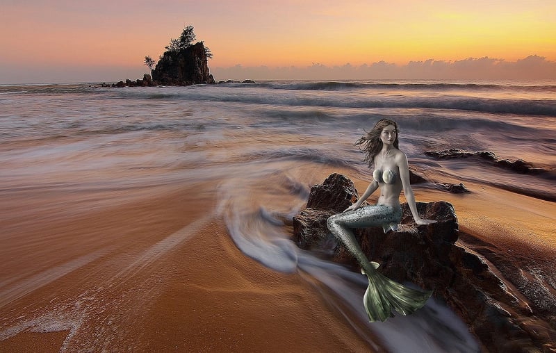 Mermaid in a pond