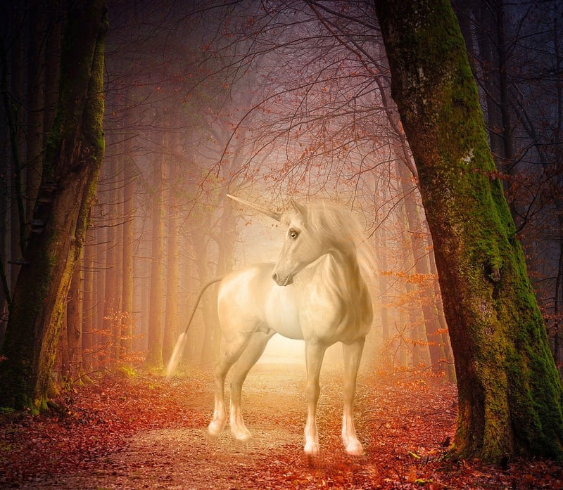 Unicorn Guardian